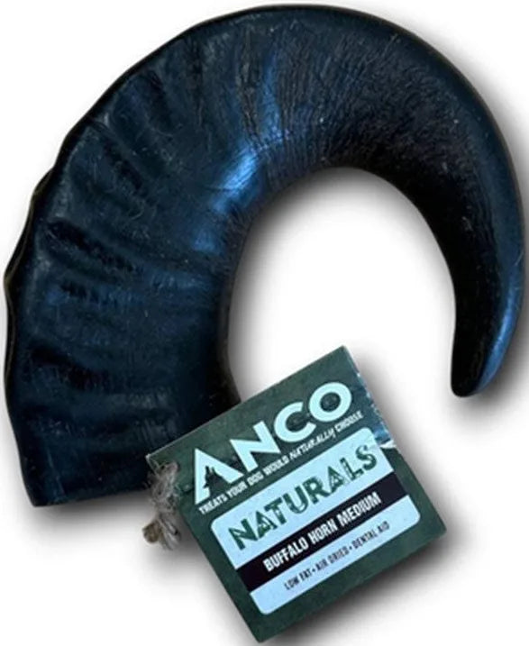 Buffalo Horns (Medium)