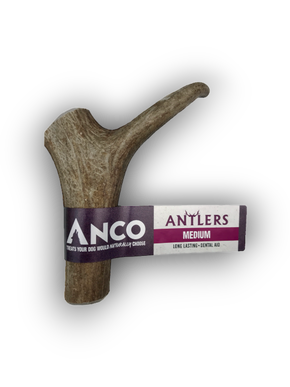 Antler (medium)