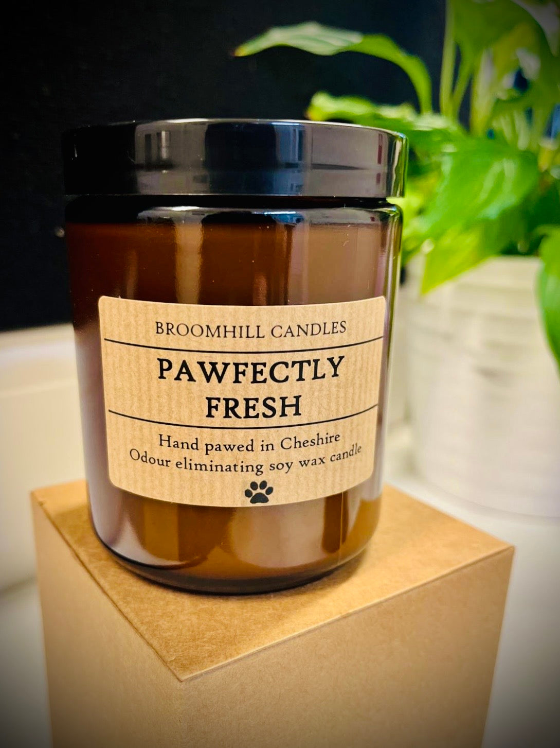 ‘Pawfectly Fresh’ odour eliminating soy wax candles