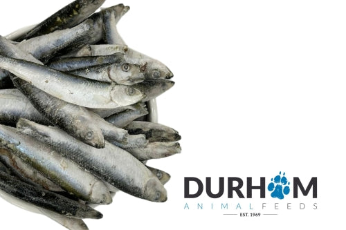 Frozen Sprats 1kg
